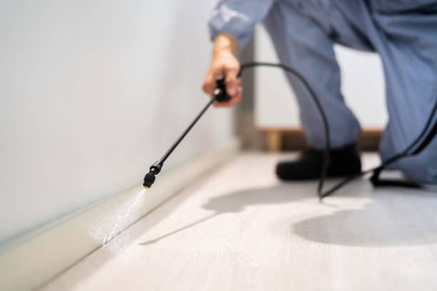 Licensed Termite Control service in Jackson, AL - Nex Pest Control