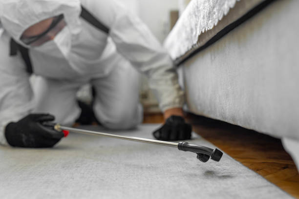 Professional Termite Control technician working in Jackson, AL