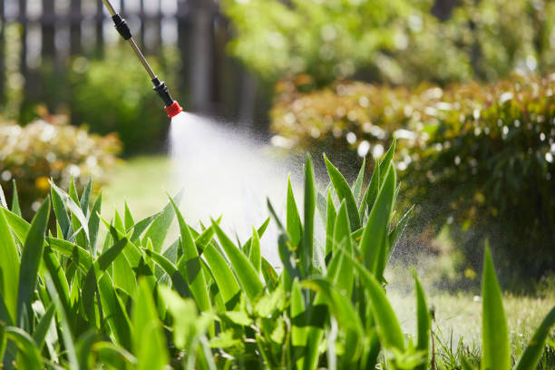 24/7 Emergency Termite Control experts in Jackson, AL