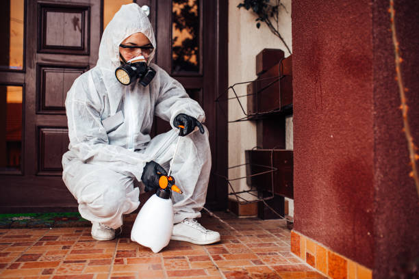 Reliable Termite Control contractor in Jackson, AL by Nex Pest Control