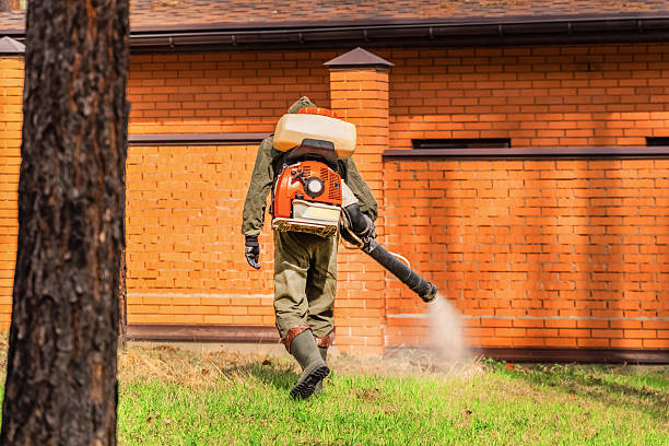 Top rated local Termite Control specialists in Jackson, AL